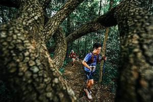 BIB: 
                            <button type="button" onclick="openModal(25393559)" class="btn btn-primary btn-sm float-right btn-popup" data-toggle="modal" data-target=".modal-high-quality">
                        <i class="fas fa-shopping-cart"></i> Add to Cart
                    </button>
                                            <button type="button" onclick="isThisMe(25393559, true)" class="btn btn-success btn-sm float-right btn-popup btn-isme hidden" data-toggle="tooltip" data-placement="bottom" title="นี่คือรูปของคุณใช่ไหม คลิกที่นี่เพื่อเอาเข้าอัลบั้ม">
                        <i class="fas fa-plus"></i> Add to album
                    </button>
                    <button type="button" onclick="isThisMe(25393559, false)" class="btn btn-warning btn-sm float-right btn-popup btn-isnotme hidden">
                        <i class="fas fa-ban"></i> Remove from album
                    </button>